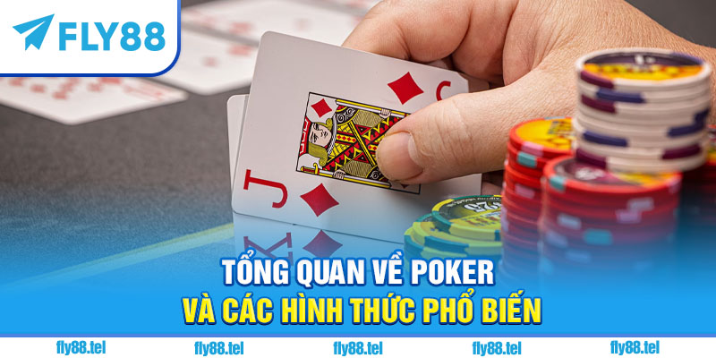 Cách Chơi Poker Trên Fly88: Hướng Dẫn Chi Tiết Và Kinh Nghiệm 3 Tổng quan về poker và các hình thức phổ biến